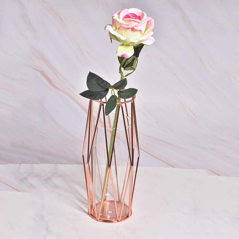 Ins Metal and Glass Flower Vase for Home Decor